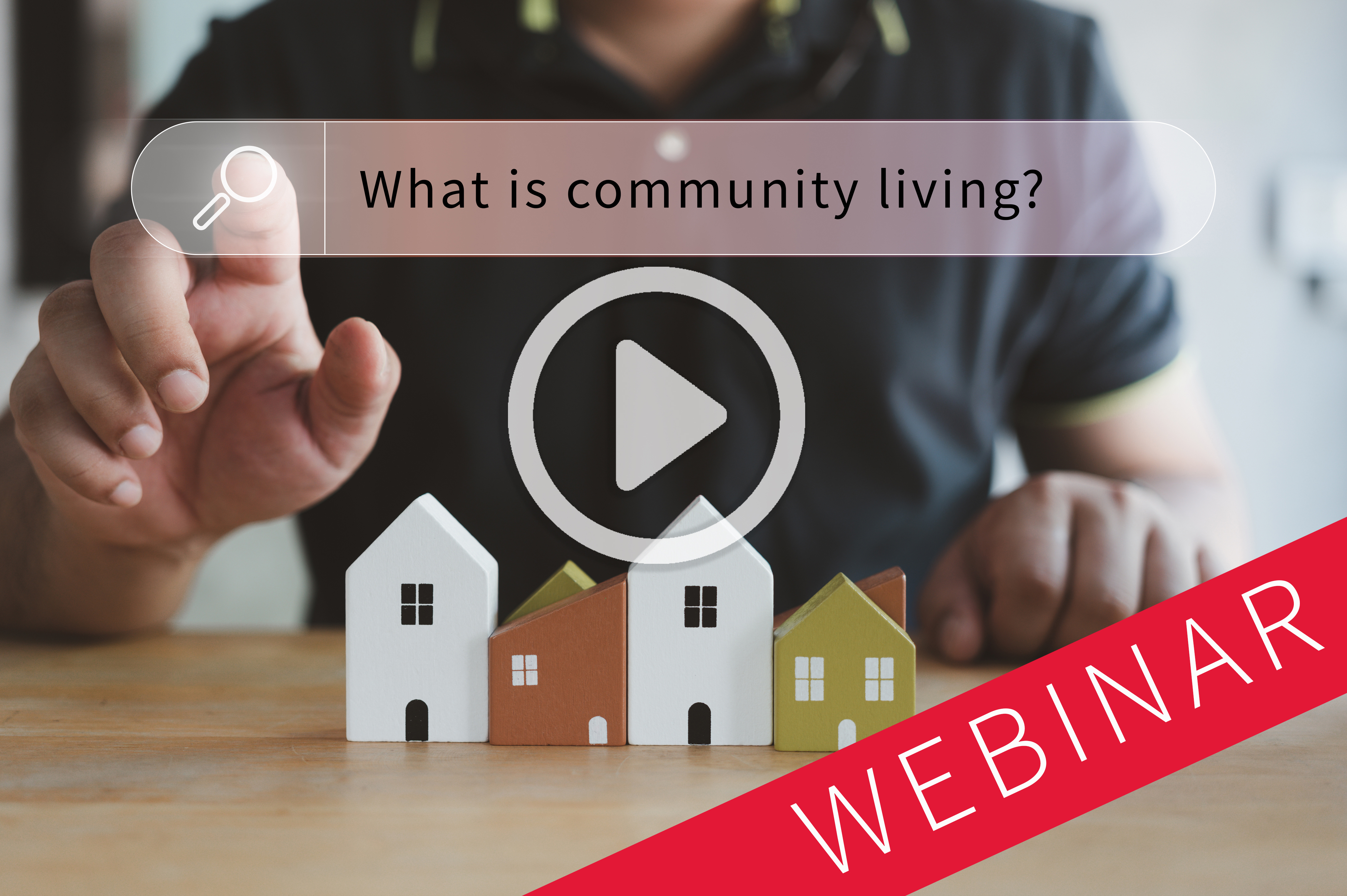 The Division of Developmental Disabilities Housing Subsidy Program ...