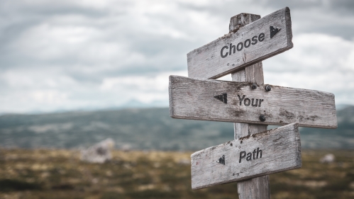 three wooden signposts on the same pole pointing in different directions reading "Choose", "Your", and "Path"