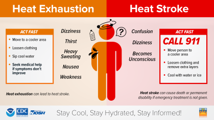 Diagram explaining difference between heat exhaustion and heat stroke 