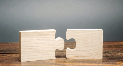 Two puzzle pieces