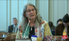 Colleen McKay Wharton testifying at the NJ State Senate